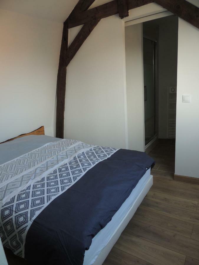 Appartements Du 101 Villeneuve-d'Ascq Kültér fotó